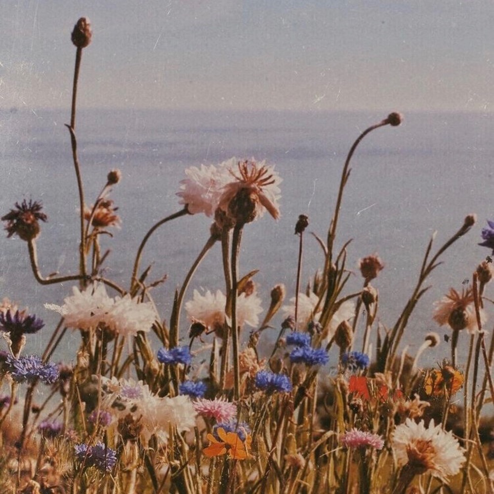 Meet your Posher, Chloe